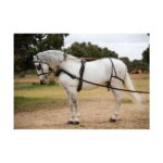 ENGANCHE HH SIEGEN COLLARIN SENCILLO