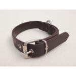 COLLAR PERRO BIOTHANE 25 MM